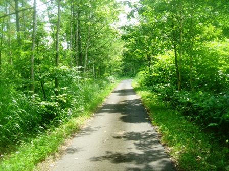 朝の散策路